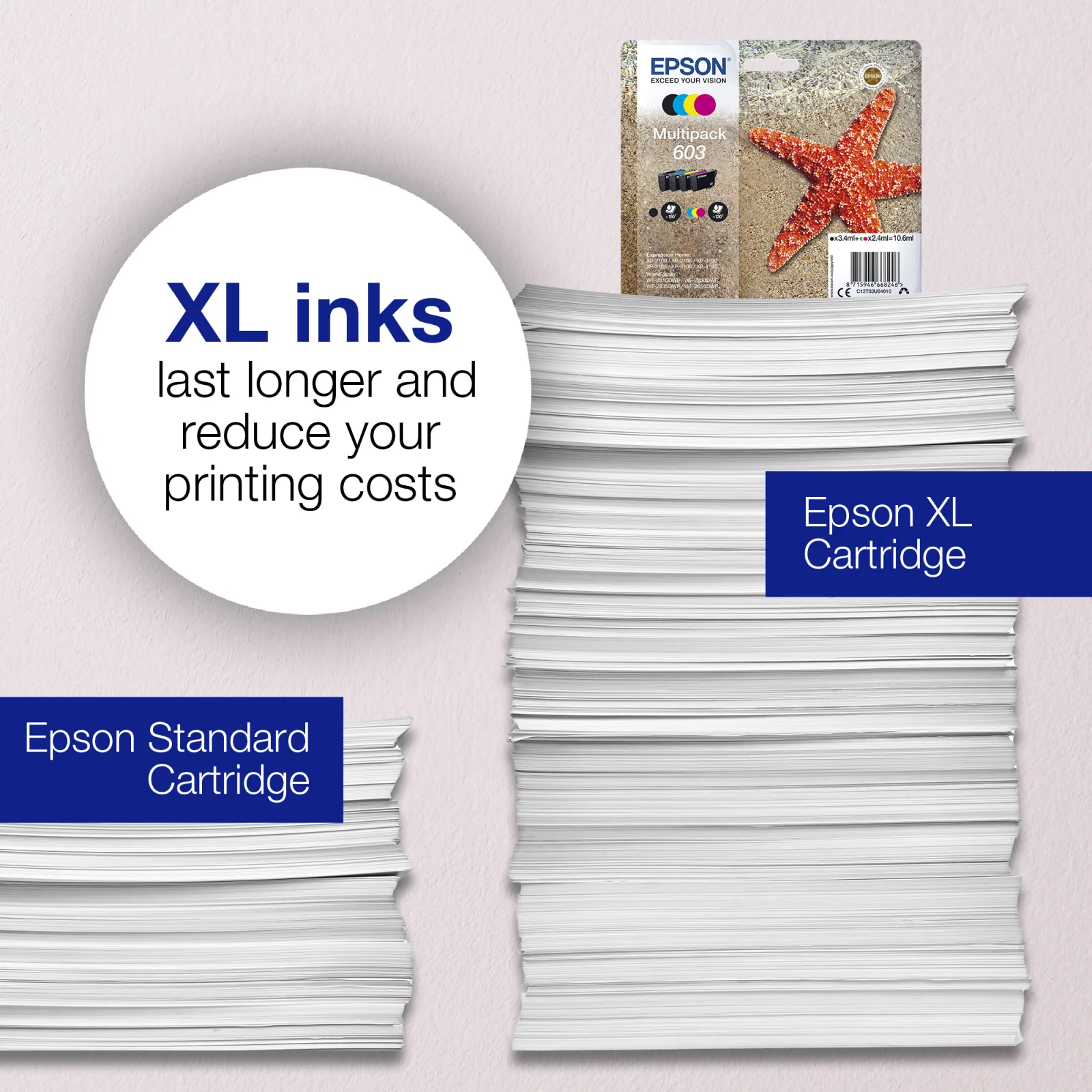 Singlepack Black 603XL Ink